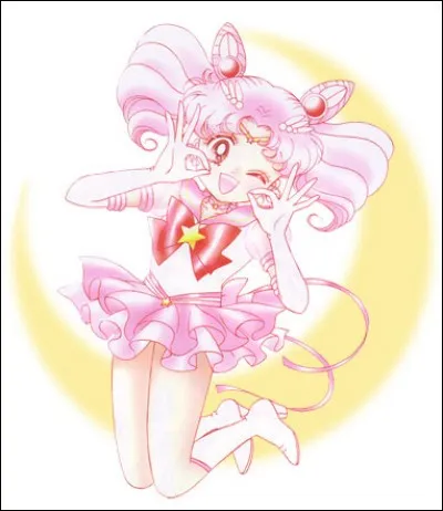 La fille de Sailor Moon et de Tuxedo masqu&eacute; vient du/de