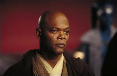 Qui est le maître Jedi de Mace Windu ?