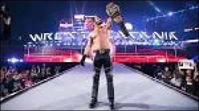 Quel est le plus gros retour de WrestleMania 33 ?