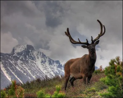 Par contre, le tube fluorescent au néon fut inventé au 19e siècle !