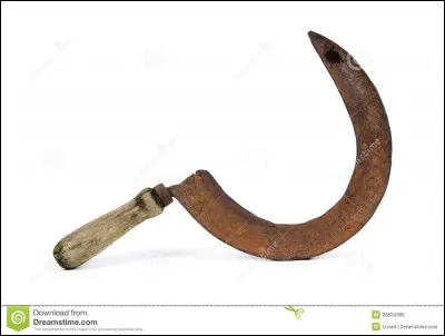 D'autres lui ont bâti une cité ...