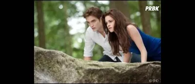 En tant que vampire, tu préfères :