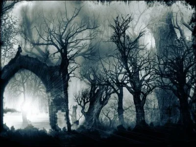 Quel est ton pire d&eacute;faut ?