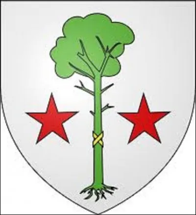 Les armes de cette commune des Landes de 14 174 habitants se blasonnent ainsi : "D'argent au pin arraché de sinople, le fût lié en sautoir d'or, accosté de deux étoiles de gueules". Capitale de l'hydraviation, station balnéaire réputée, elle est également connue pour ses spots de surf. De quelle ville s'agit-il ?