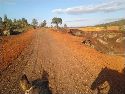 Parmi ces trois phrases, laquelle est la plus représentative du "Ranch do Novo Mundo" ?