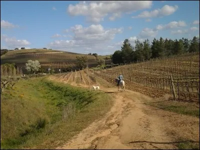 Complète cette formule randonnées avec le bon mot.
Quand le ______ est une invitation au voyage.