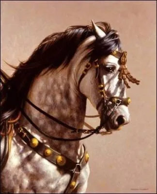 Quelle est cette race ?