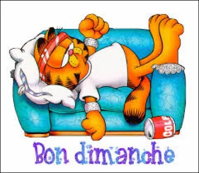 Comment dit-on dimanche en néerlandais ?