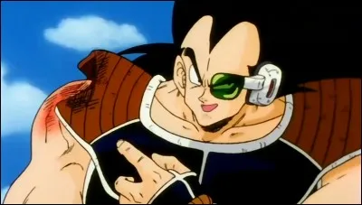 Raditz est un :