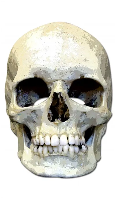 Qui est le dernier à mourir ?