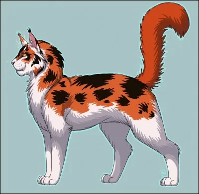 Que représente Tempête de Sable pour Pelage de Granit ?