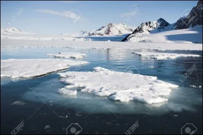 Quel mammifère cétacé des mers arctiques surnommait-on autrefois "licorne des mers" ?