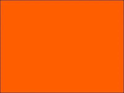 Comment dit-on orange en néerlandais ?