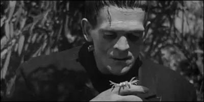 Quel acteur interpréta le rôle de Frankenstein en 1931 ?