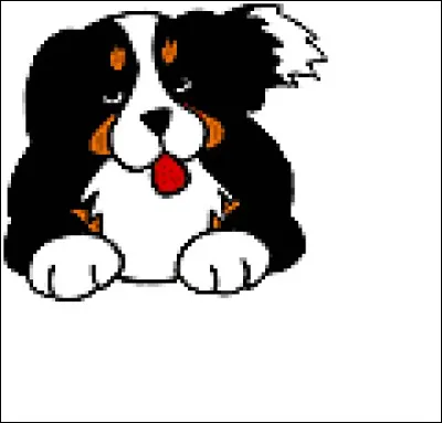 Comment dit-on un chien en néerlandais ?