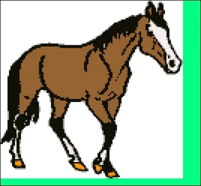 Comment dit-on un cheval en néerlandais ?