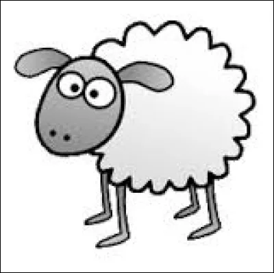 Comment dit-on un mouton en néerlandais ?