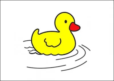 Comment dit-on un canard en néerlandais ?