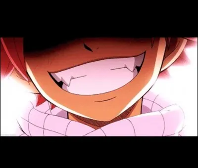 Son plus gros défaut est :