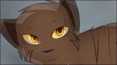 Qui est son compagnon ?