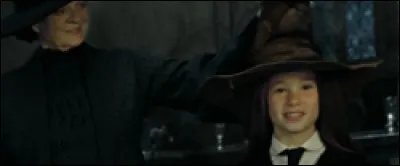 Dans quelle maison Lily est-elle envoyée par le Choixpeau ?