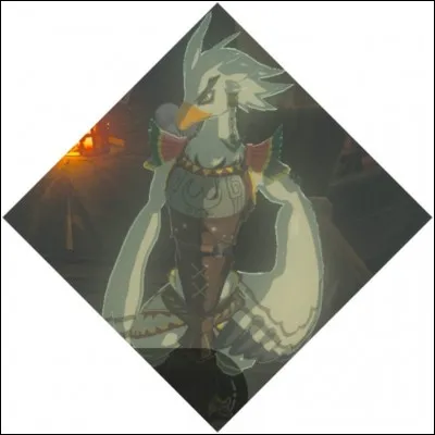 Comment s'appelle le piaf à la zone d'exercices au vol ?