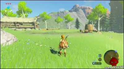 Comment s'appelle le plat du vieil homme pour pouvoir avoir son doublé ?