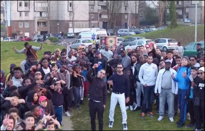 Qui sont leurs meilleurs amis ?