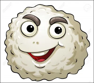 Quel est le nom scientifique du globule blanc ?