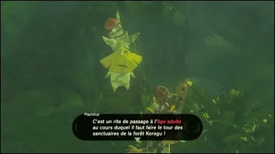 Dans l'épreuve ultime des Korogus, quel est le dernier objet qu'il faut déposer sur la feuille ?
