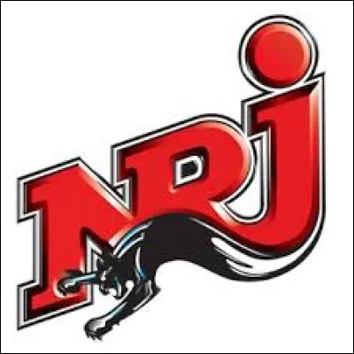 Quelle réponse correspond au sens caché de ces lettres : NRJ ?