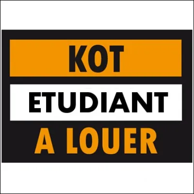 Quelle réponse correspond au sens caché de ces lettres : KOT ?