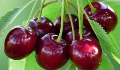 Pierre précieuse qui selon sa couleur est désignée sous le nom d'émeraude ou d'aigue-marine :