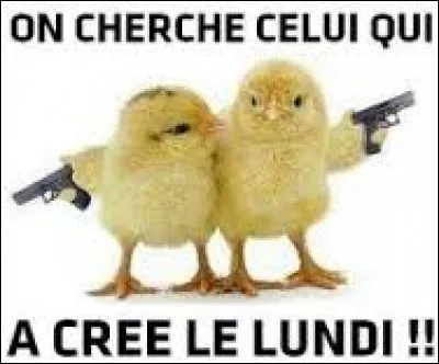 D'après l'image, quel jour ces poussins n'aiment-ils pas ?