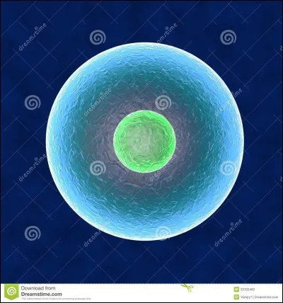 Combien de chromosomes contient une cellule humaine ?