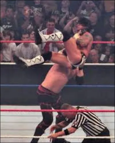 Quel catcheur n'utilise pas le Chokeslam ?
