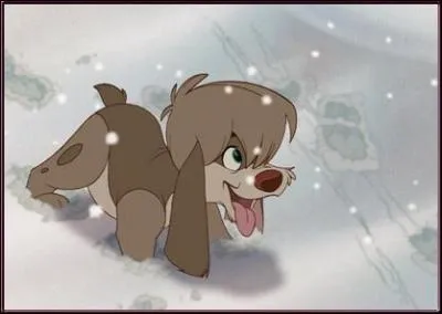 Comment s'appelle le petit chien adopt par Anastasia ?