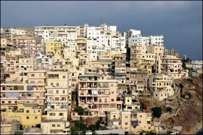 Quels sont les deux pays frontaliers avec le Liban ?