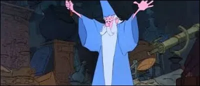 Comment s'appelle le hibou de Merlin ?