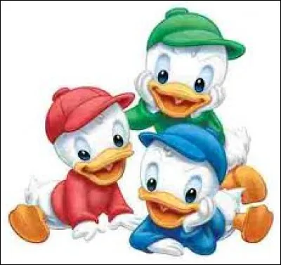 Quels sont les noms des trois canards de Donald ?