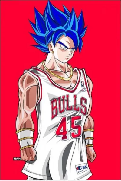 Quelle est cette forme ?