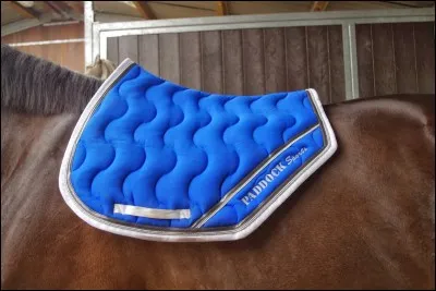 À quoi sert le tapis ?