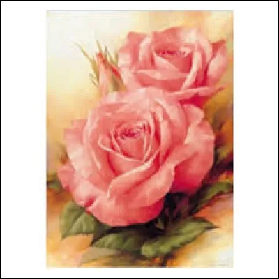 Autre appellation du cannabis, composé de feuilles de chanvre séchées.