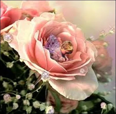 Qualifie l'ère japonaise entre 1868 et 1912 :