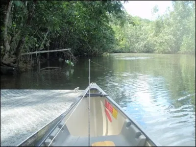 Une seule mauvaise réponse, et vous serez bancroche !