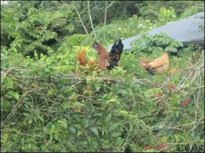Pour certain(e) d'entre vous, toute cette histoire peut sembler absconse, je m'en excuse à l'avance !