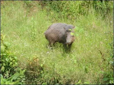 Si vous avez raté une ou plusieurs réponses, j'espère que l'alizarine ne vous montera pas aux joues !