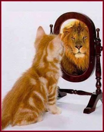 Quel ''zanimal minion'' est capable se reconnaître dans le miroir ?