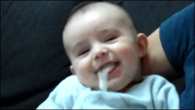 Quel ''zanimal minion'' ne peut pas vomir ?