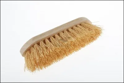 Quelle est cette brosse ?
